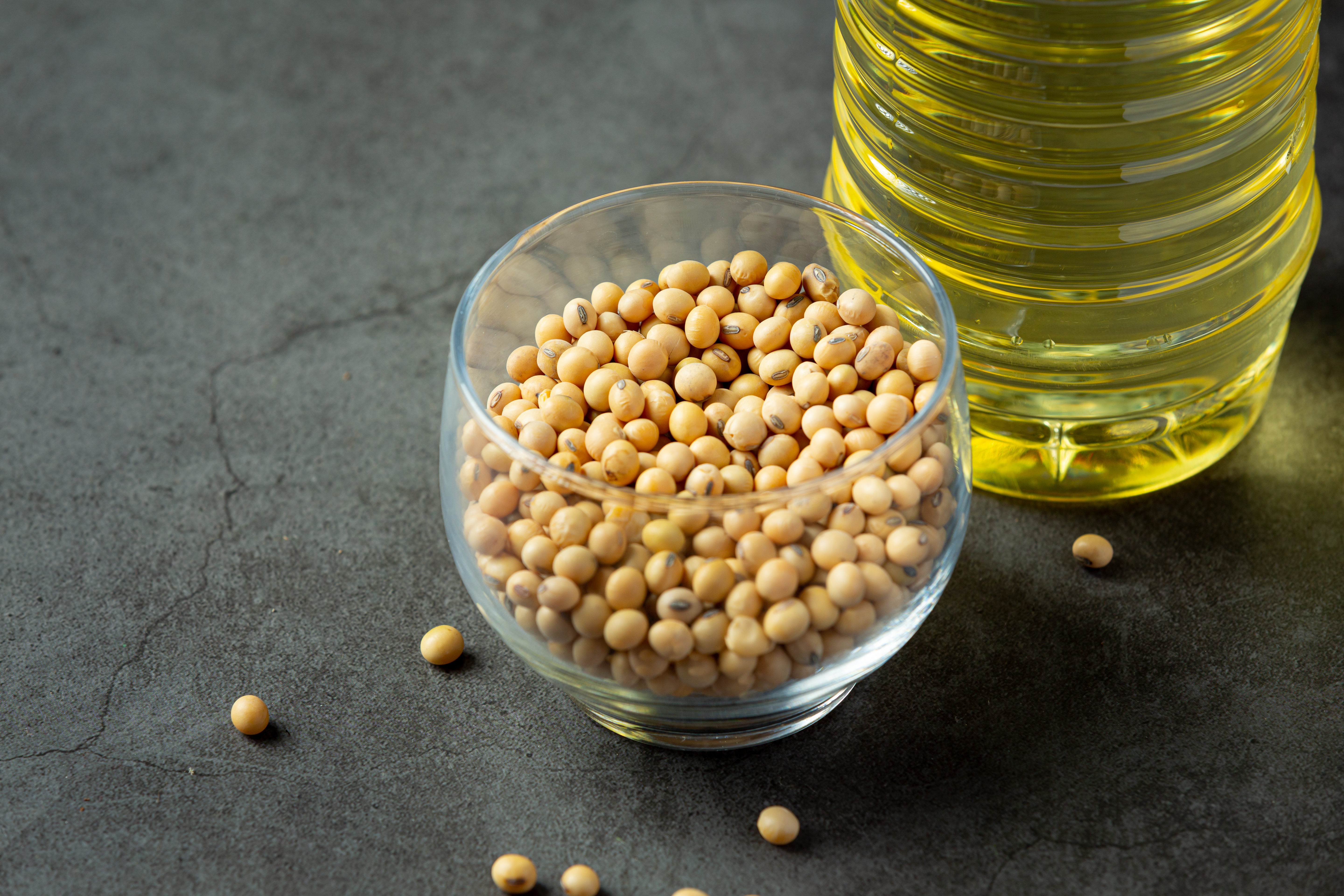 Soybean Oil Transportation