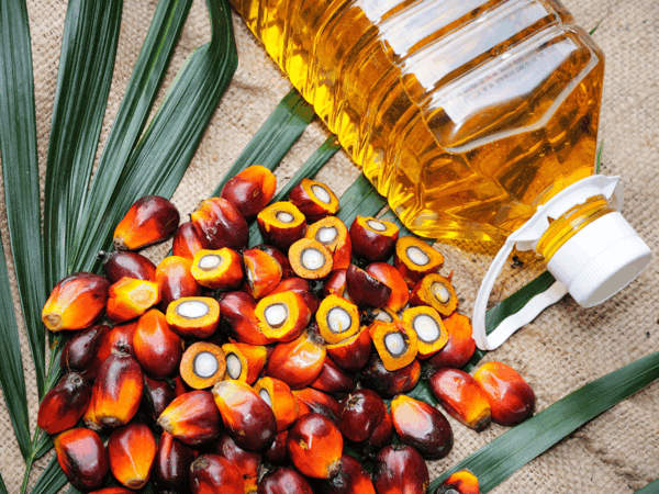 Crude Palm Oil (CPO) Transportation